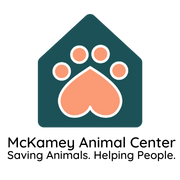 Neon%20Logo%20(180%20%C3%97%20180%20px).png